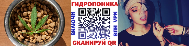 Cannafood марихуана  Ельня 