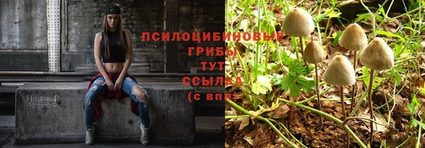 твердый Арсеньев
