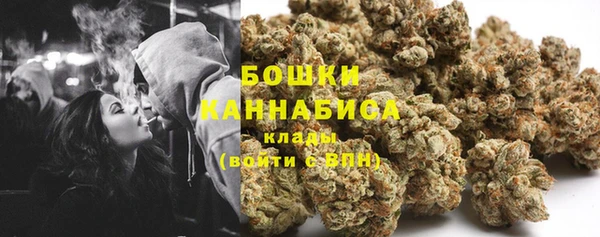 твердый Арсеньев