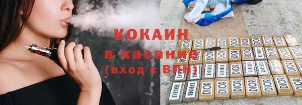 твердый Арсеньев