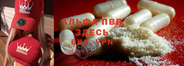 твердый Арсеньев